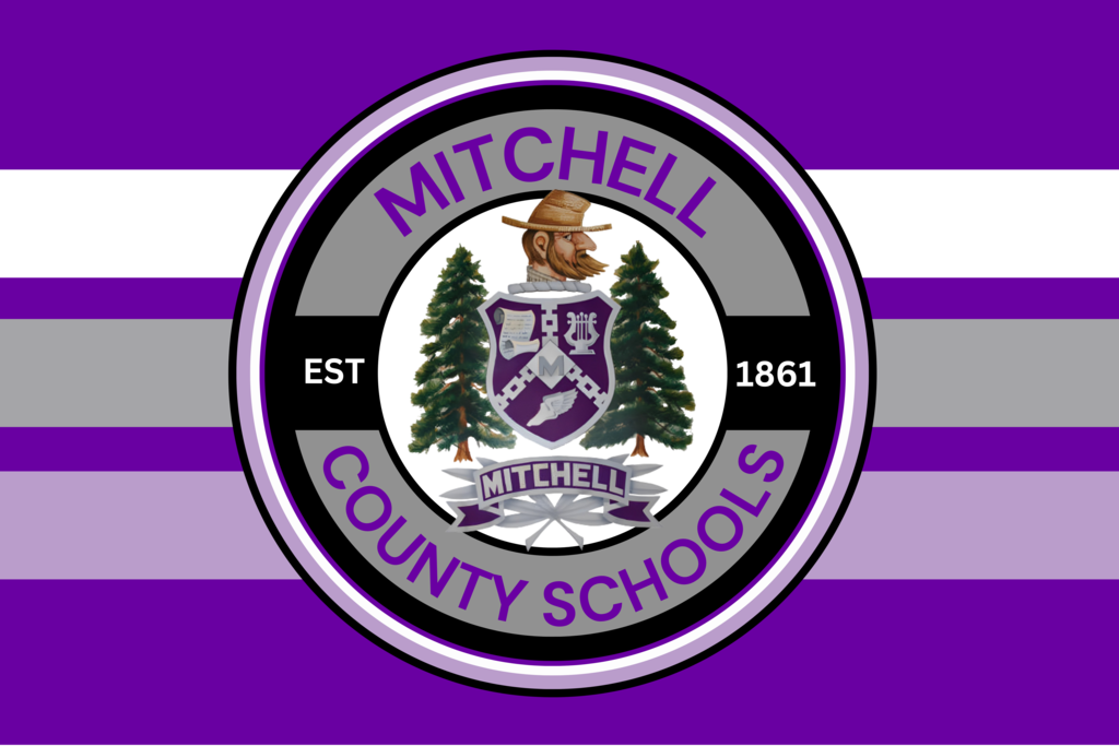 mitchell county schools website